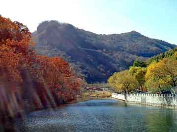 管家婆黑白马报图库，hp写真机